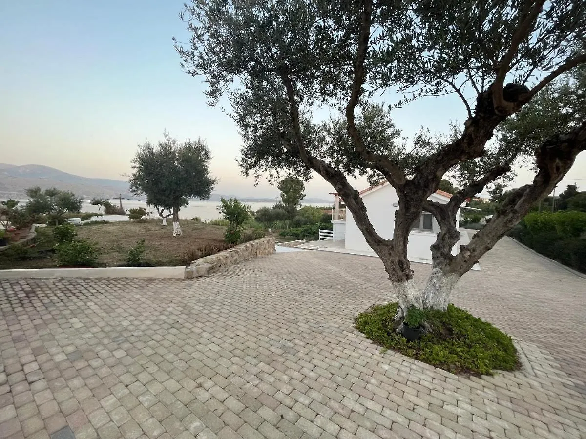Willa Apollonides Seafront Villa1 Aoede Lixouri