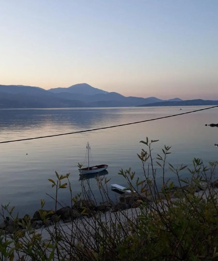 Apollonides Seafront Villa1 Aoede Lixouri Willa