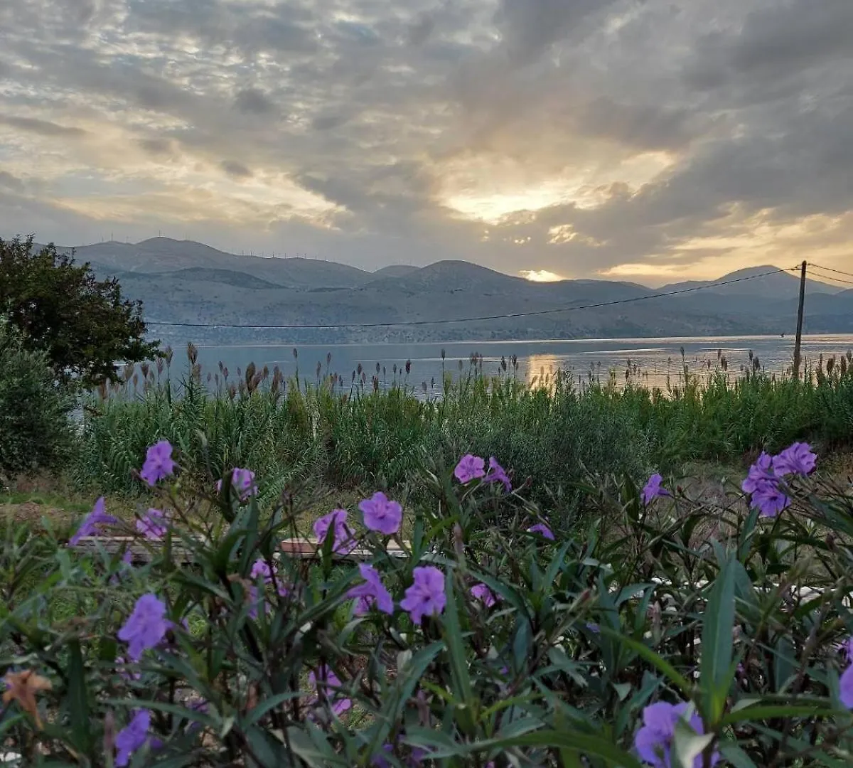Willa Apollonides Seafront Villa1 Aoede Lixouri