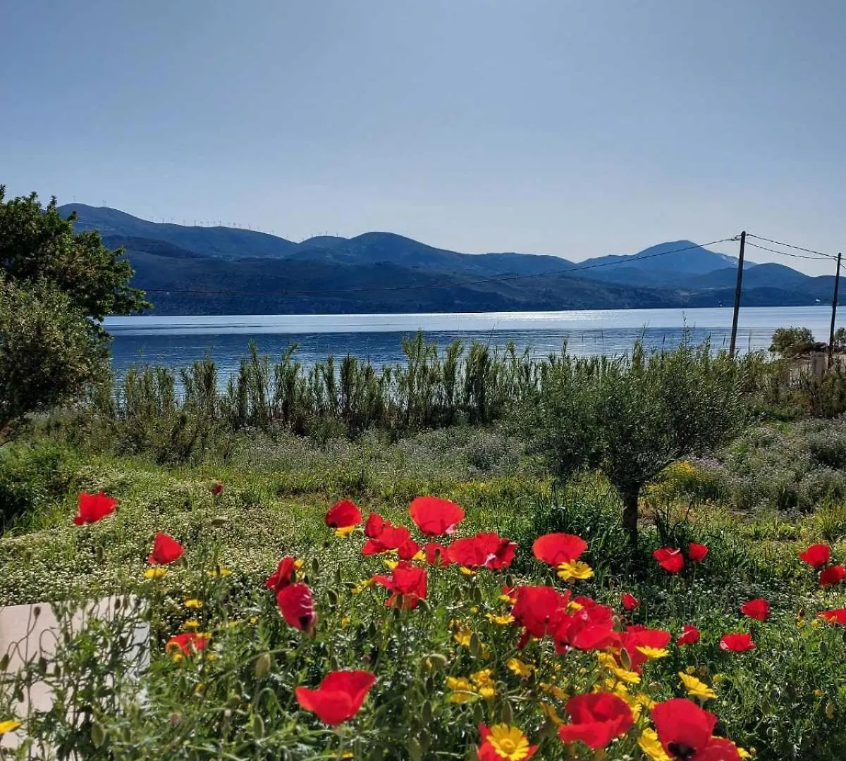 Apollonides Seafront Villa1 Aoede Lixouri Grecja